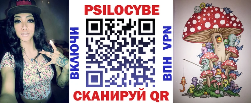 Купить  Малгобек  Галлюциногенные грибы Psilocybine cubensis 